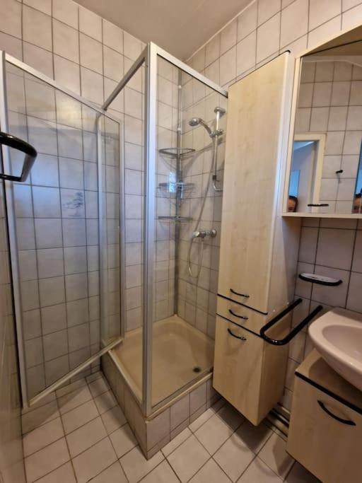 Beautiful Aparment Next To The Border 4 Room Saint-Louis (Haut-Rhin) Exterior photo