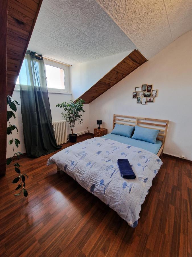 Beautiful Aparment Next To The Border 4 Room Saint-Louis (Haut-Rhin) Exterior photo
