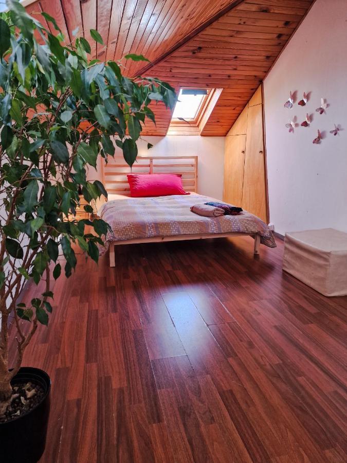 Beautiful Aparment Next To The Border 4 Room Saint-Louis (Haut-Rhin) Exterior photo